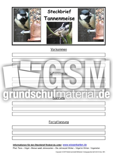 Steckbrief-Tannenmeise.pdf
